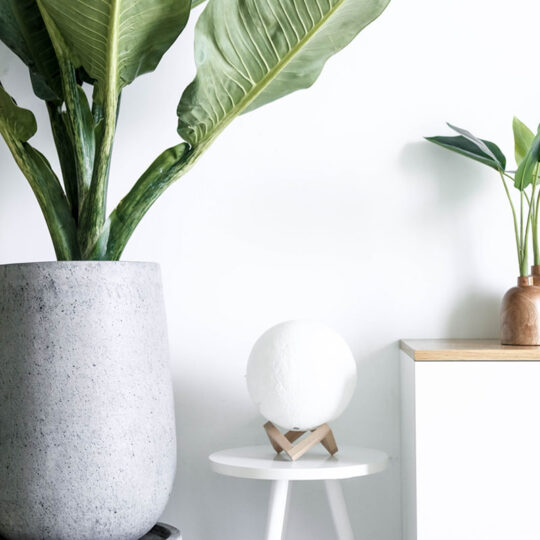 Design-Nation Publishes &rsquo;20 Makers, 20 Objects&rsquo;